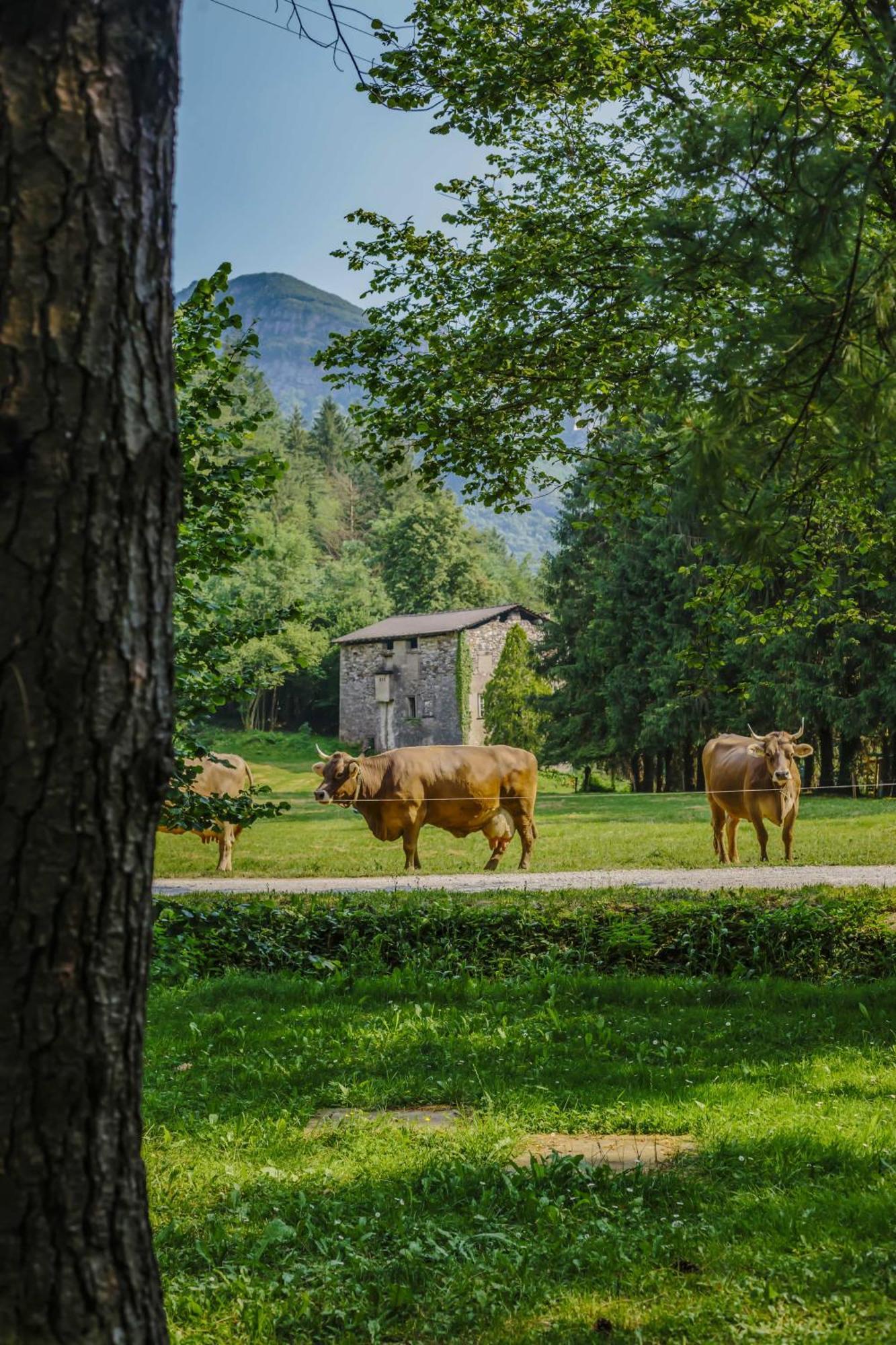 Villa Agriturismo Ferdy Lenna Exterior foto
